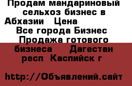 Продам мандариновый сельхоз-бизнес в Абхазии › Цена ­ 1 000 000 - Все города Бизнес » Продажа готового бизнеса   . Дагестан респ.,Каспийск г.